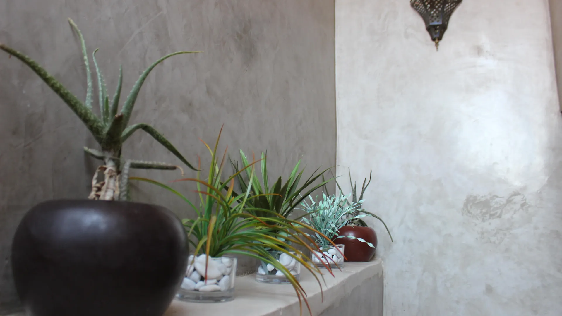 ***  Riad Dar Ftouma Marrakesh Morocco